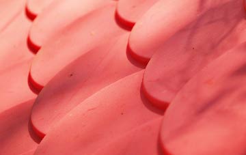 Brunery plastic roof costs